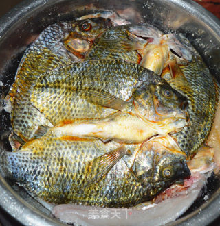 Cured Fish recipe
