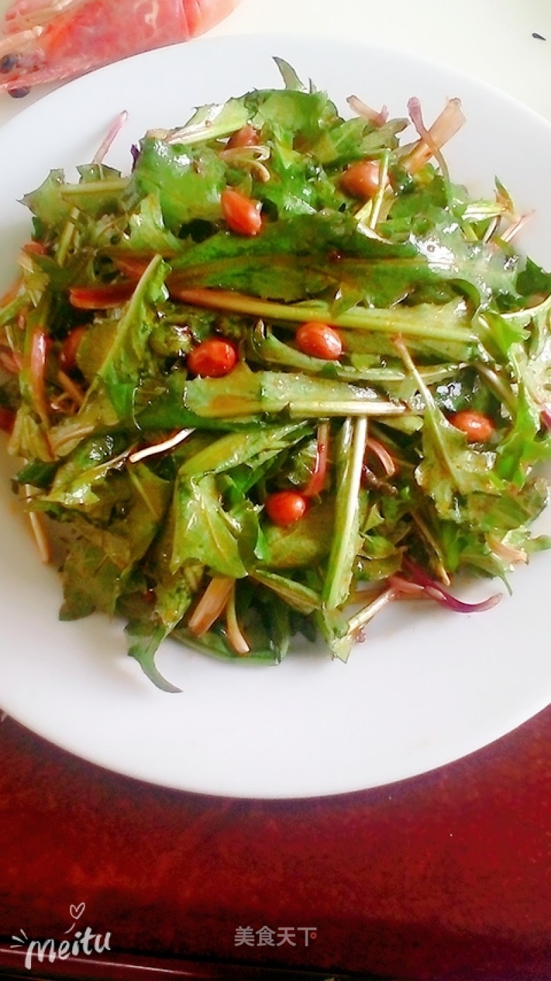 Dandelion Salad recipe