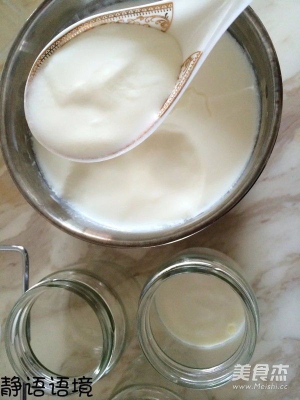 Homemade Yogurt recipe