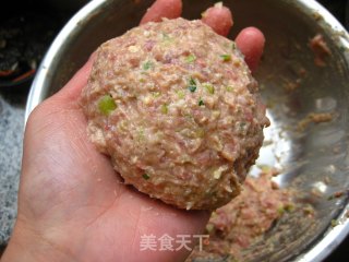 [flying Birds and Beasts]-sixi Meatballs recipe