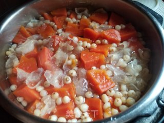 Stewed Snow Fungus with Papaya and Chuanbei recipe