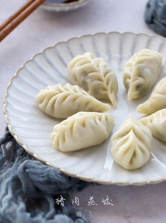 Steamed Dumplings with Mushroom and Pork recipe