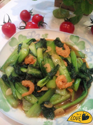 Stir-fried Sea Rice with Canola recipe