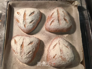 #柏翠大赛#cranberry Multigrain Bread recipe