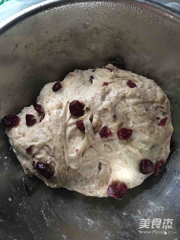 No-knead Whole Wheat Cranberry Soft European Bun recipe