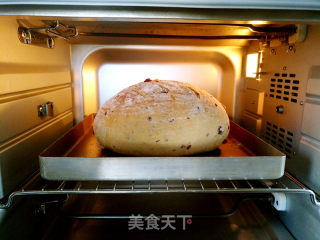 Cranberry Soft European recipe