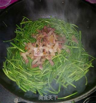 Stir-fried Bacon with Artemisia recipe