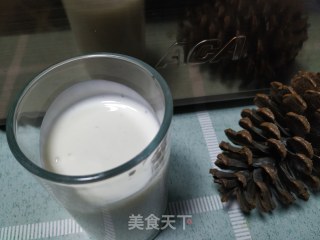 Homemade Yogurt in Bread Maker recipe