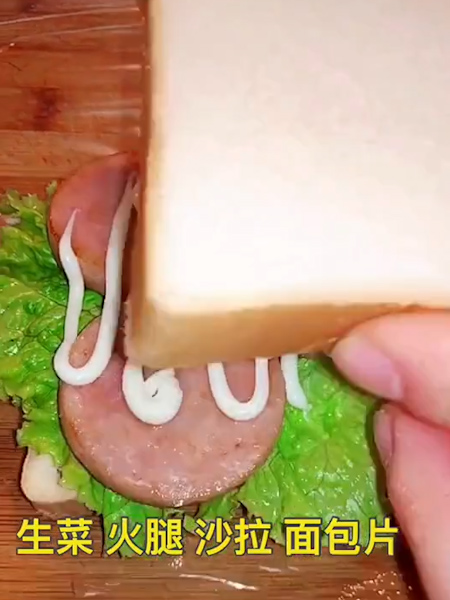 Homemade Sandwiches recipe