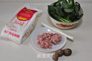Green Vegetables and Pork Dumplings recipe