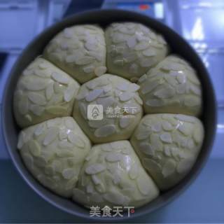 Potato Bread recipe