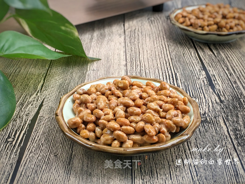 Breadmaker Version Homemade Natto, Brushed to The Sky recipe
