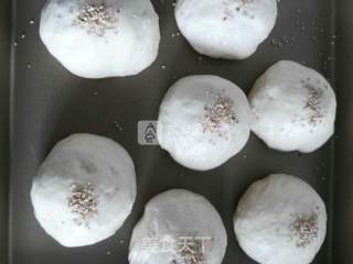 Japanese Bean Paste Buns recipe