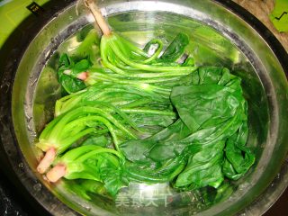 Spinach Rolls with Ginger Sauce recipe