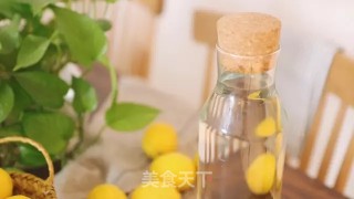 Lemon Vinegar recipe