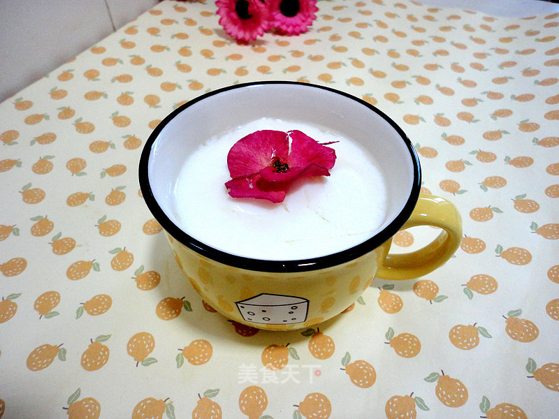 Homemade Yogurt