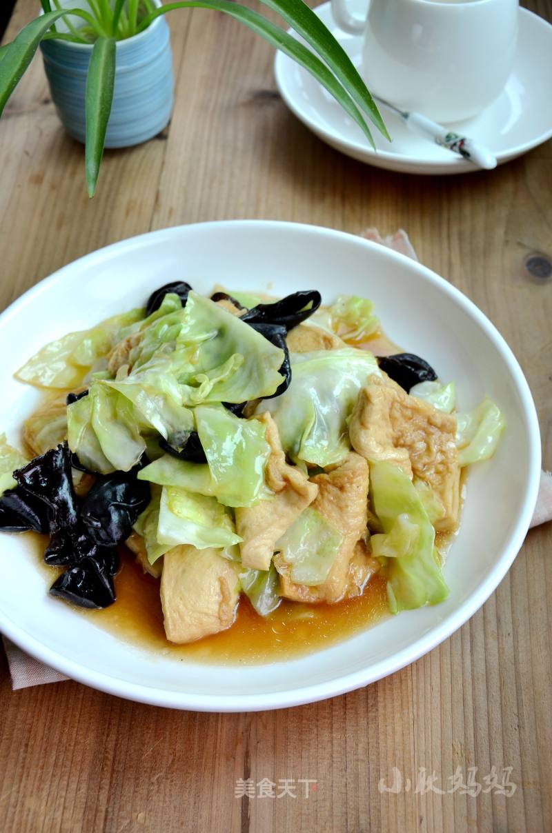 Braised Tofu with Cabbage recipe