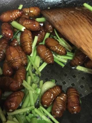 Stir-fried Silkworm Chrysalis recipe