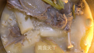 Dendrobium Duck Soup recipe