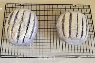 Blue Country Bread recipe