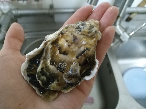 Steamed Oysters recipe