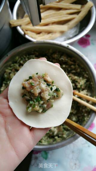 Dumplings Stuffed with Pork, Leek and Cabbage recipe