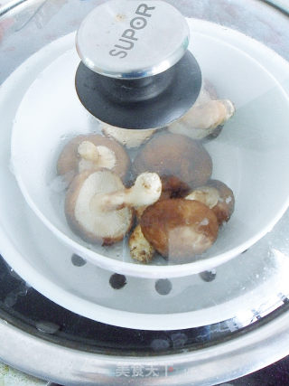 【mushroom Chicken Nuggets】 recipe