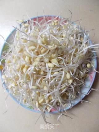 Stir-fried Soybean Sprouts recipe