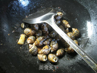 #trust of Beauty#shacha Sauce Flower Snails recipe