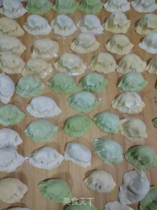 Spinach and Chicken Breast Dumplings recipe