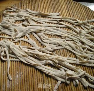 Nepeta Noodles recipe