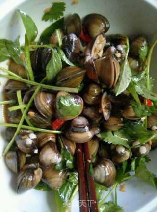 Pickled Clams recipe