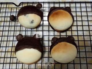 #aca烤明星大赛# Kumamoto Bear X Hello Kitty Chocolate Meal Pack recipe