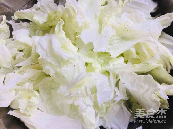 Fungus Cabbage for Weight Loss Nutrition and Delicious recipe