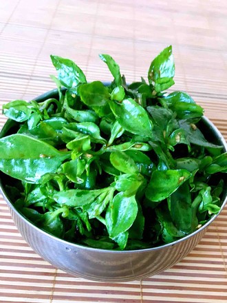 Andrographis recipe