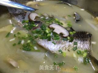 Yellow Thorn Fish Tofu Soup recipe