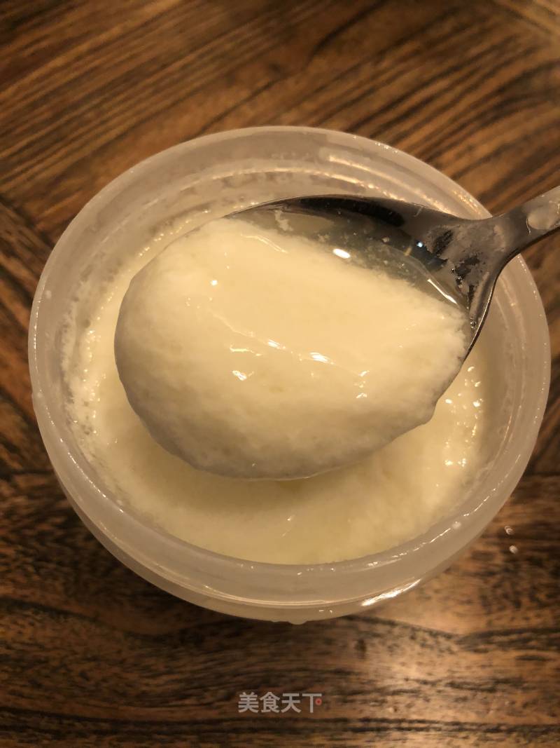 Homemade Non-fat Yogurt and Goat Milk Yogurt