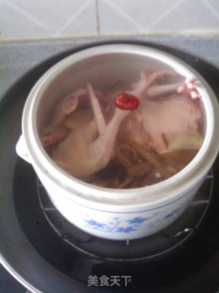 Stewed Pigeon with Winter Worm recipe