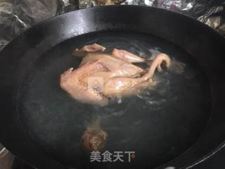 Ejiao Latex Pigeon Health Soup recipe