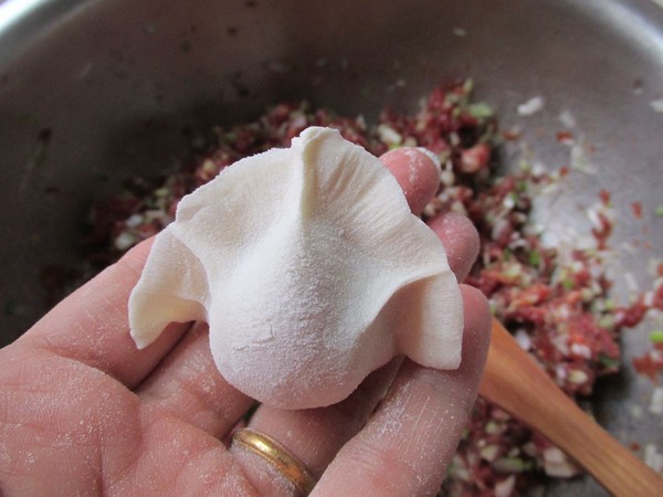 Beef Scallion Dumplings recipe