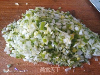 Pork and Green Onion Buns recipe