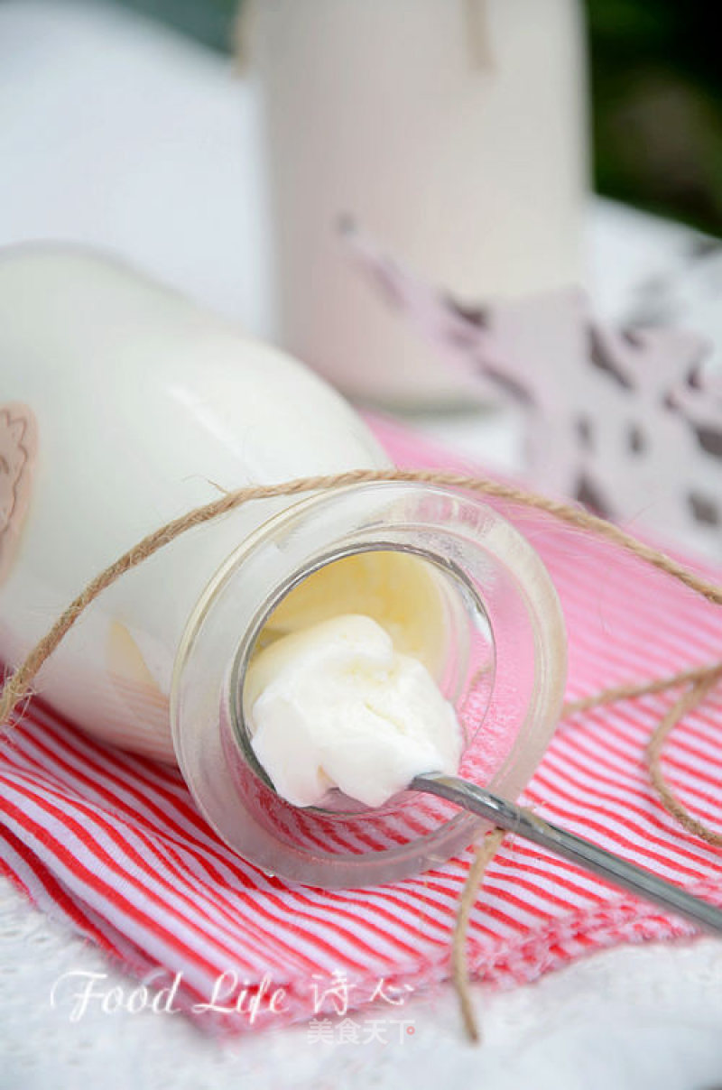 【homemade Bifidobacterium Yogurt】 recipe