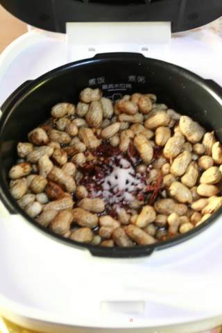 Casual Snacks: Pure Natural Organic Spiced Peanuts recipe