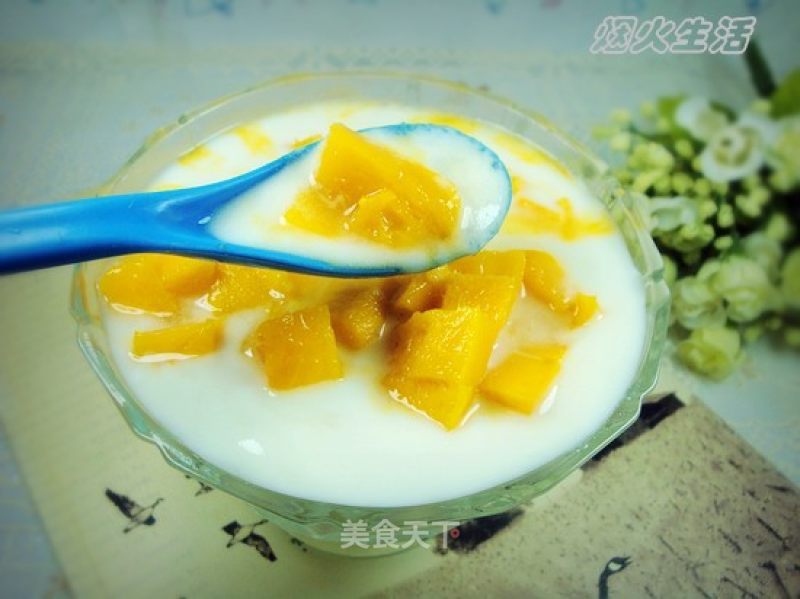 Homemade Mango Yogurt