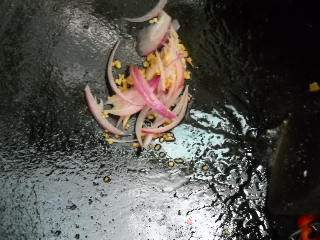 Shredded Chicken with Onion and Broccoli recipe
