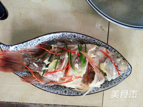 Steamed Red Snapper Fresh Trial in June recipe