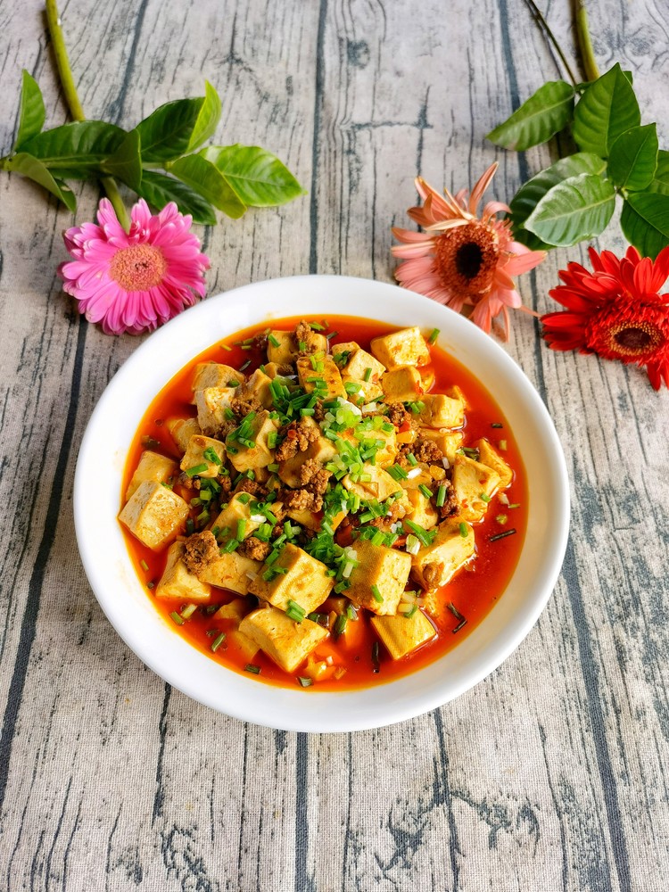 Xiabu Spicy Beef Tofu