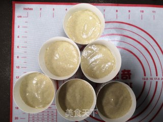 Coarse Grain Cake Fiber Powder Production Low Calorie recipe