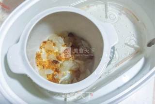 Stewed Bird's Nest with Peach Gum and Soap recipe