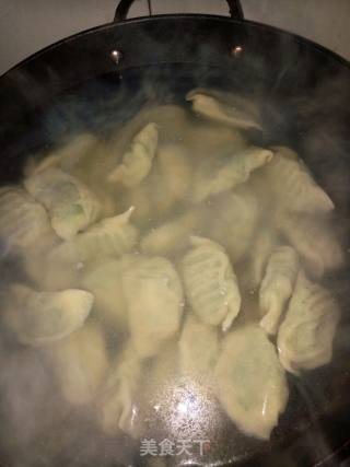 Alfalfa Dumplings ~ Alfalfa Meat Dumplings recipe